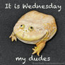 The Wednesday Meme Frog Sculpted Magnet