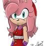 Another Amy Boom