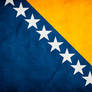 Bosnia and Herzegovina Flag G