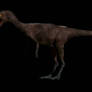 Notatesseraeraptor frickensis