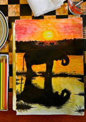 Elephant Sunset