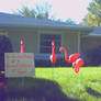 Yard Flocked By Fourth Graders