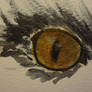Cat Eye
