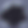 Gigi The Chain Chomp's HUGE ASS and CHEST wobble!