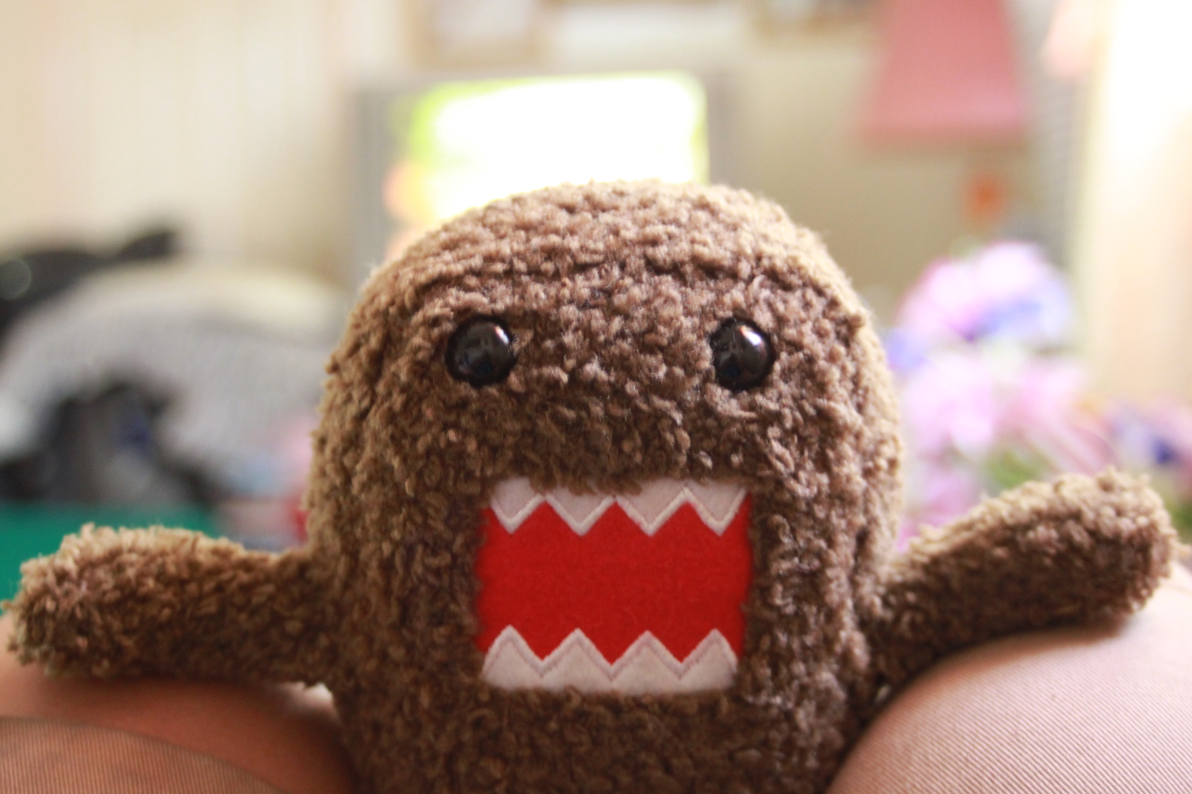 I GOT YOU DOMO