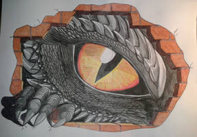 Dragon eye and dragon claw