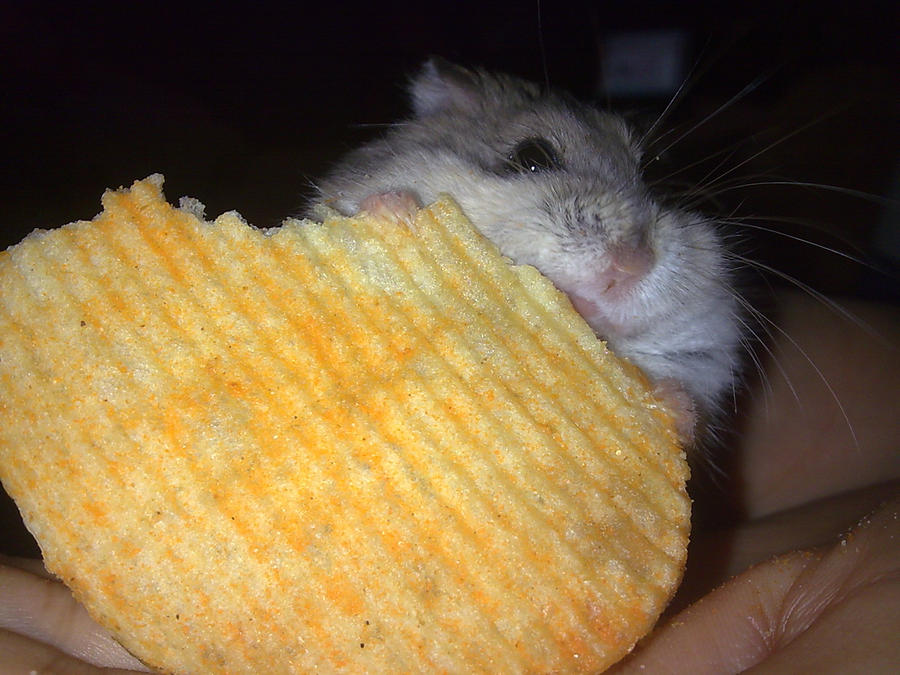 Pringles eating... Ruffles by Chokoretto17 on DeviantArt