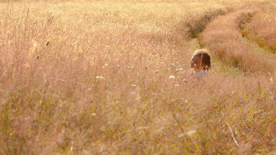 In the field