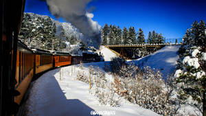 The Polar Express