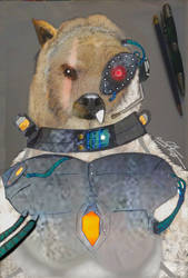 Cybernetic Bear