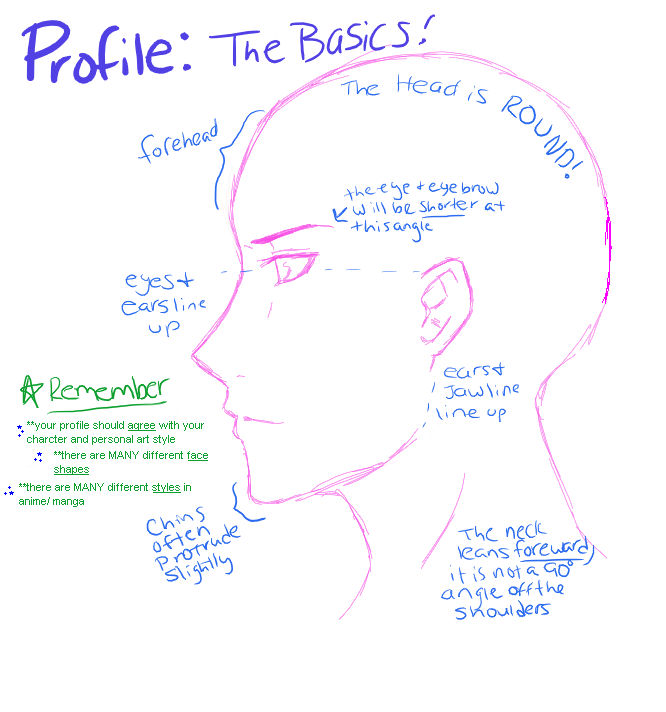 Basic Tutorials Profile Profile: The Basics by kage-ookami4 on DeviantArt