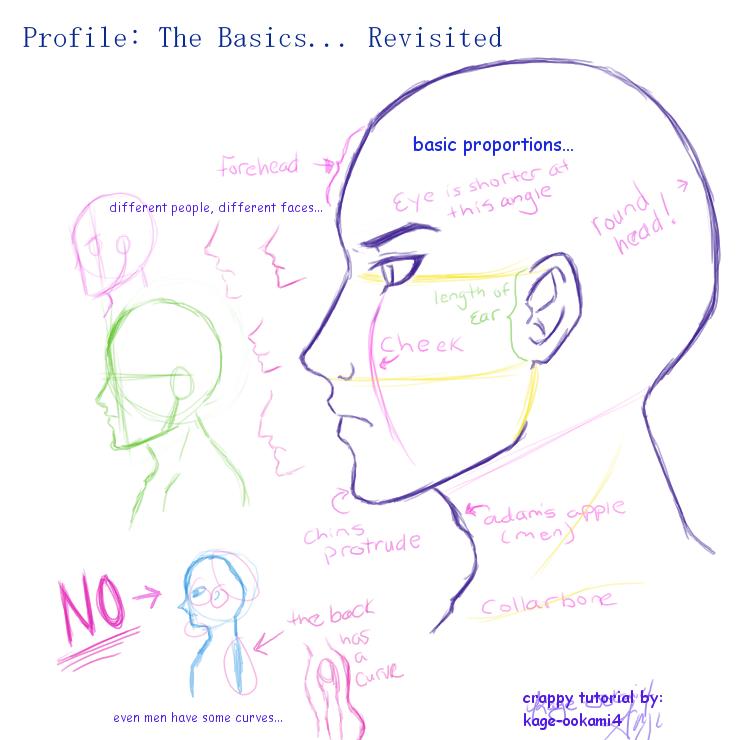 Profile The Basics Revisited By Kage Ookami4 On Deviantart