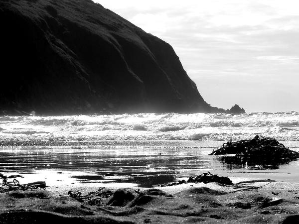 Beach View