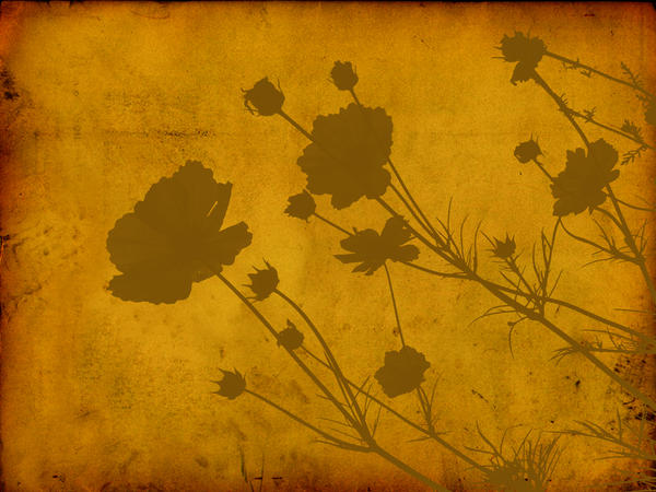 Vintage Wallpaper Series 3