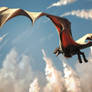Fly