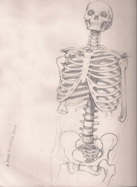 Skeleton