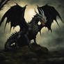 Black Dragon 