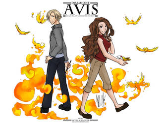 HP: Avis