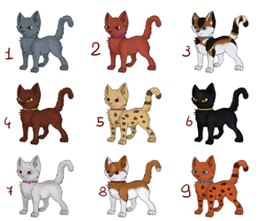 Cats I Adoptables