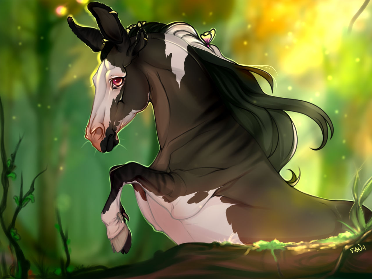 Kapi 2 by TanaaArt on DeviantArt