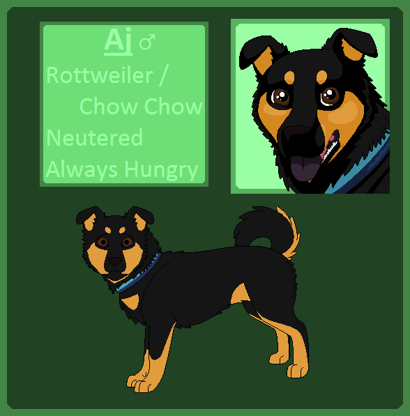 Aj's Reference Sheet