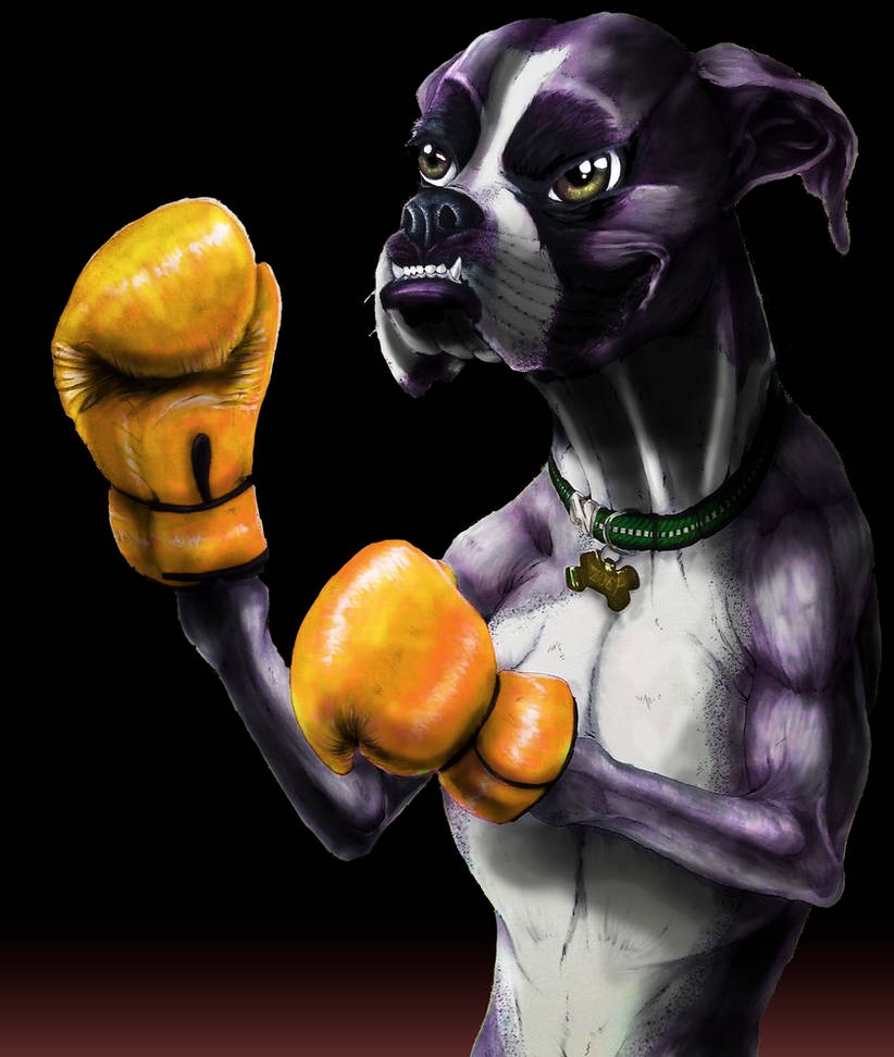 Deviantart Boxer Dog The Boxer by JacobWentworth on DeviantArt