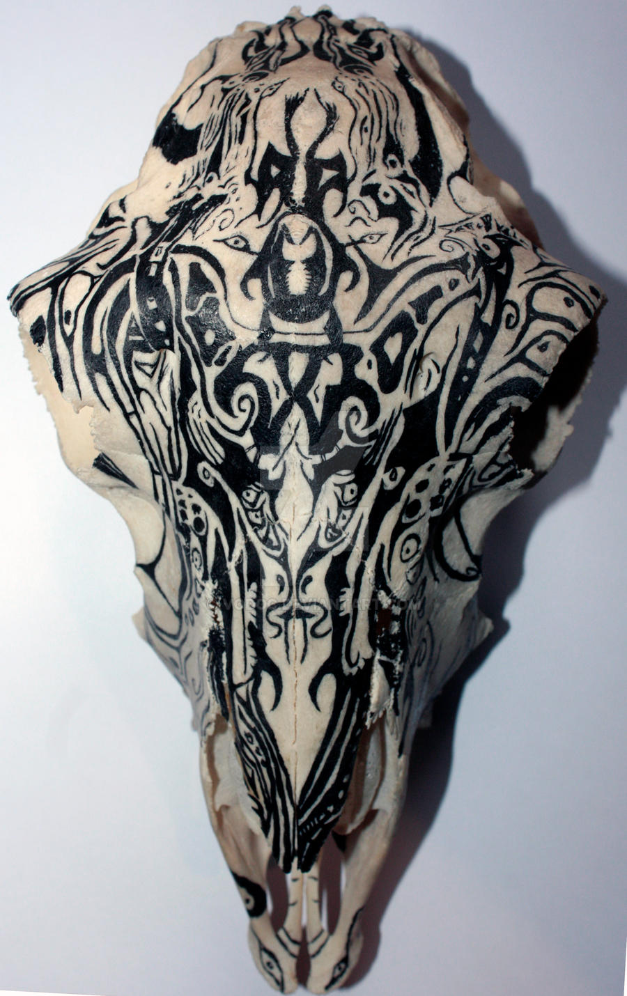 Tribal skull by vodoc on DeviantArt