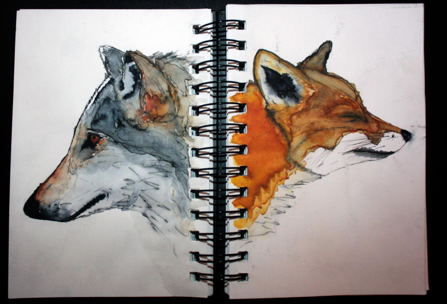 The wolf and Fox by vodoc