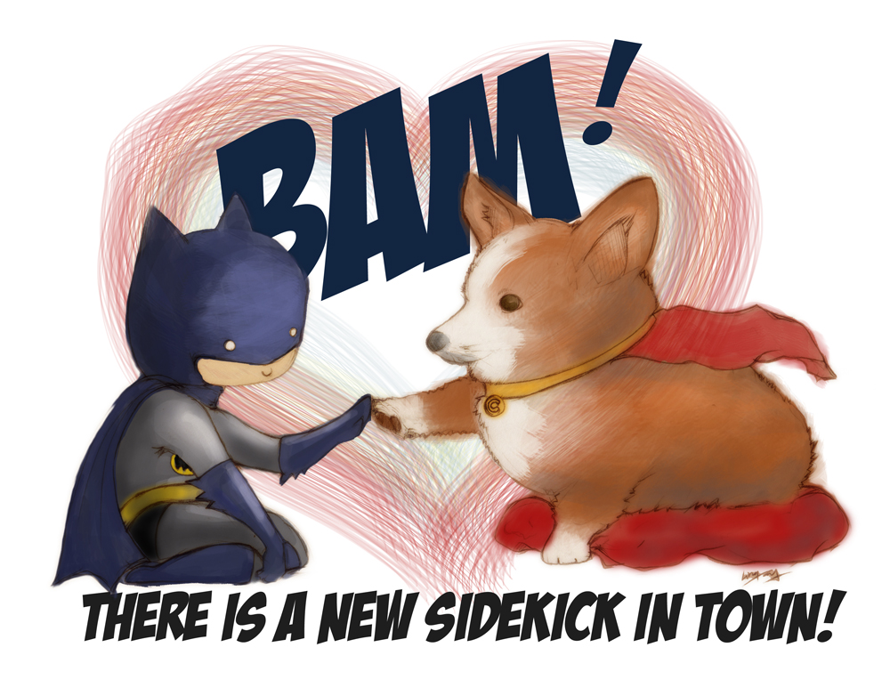 Batman and Corgi - 360