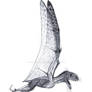 Anurognathus in flight