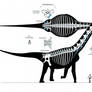 Futalognkosaurus recon Mk. III