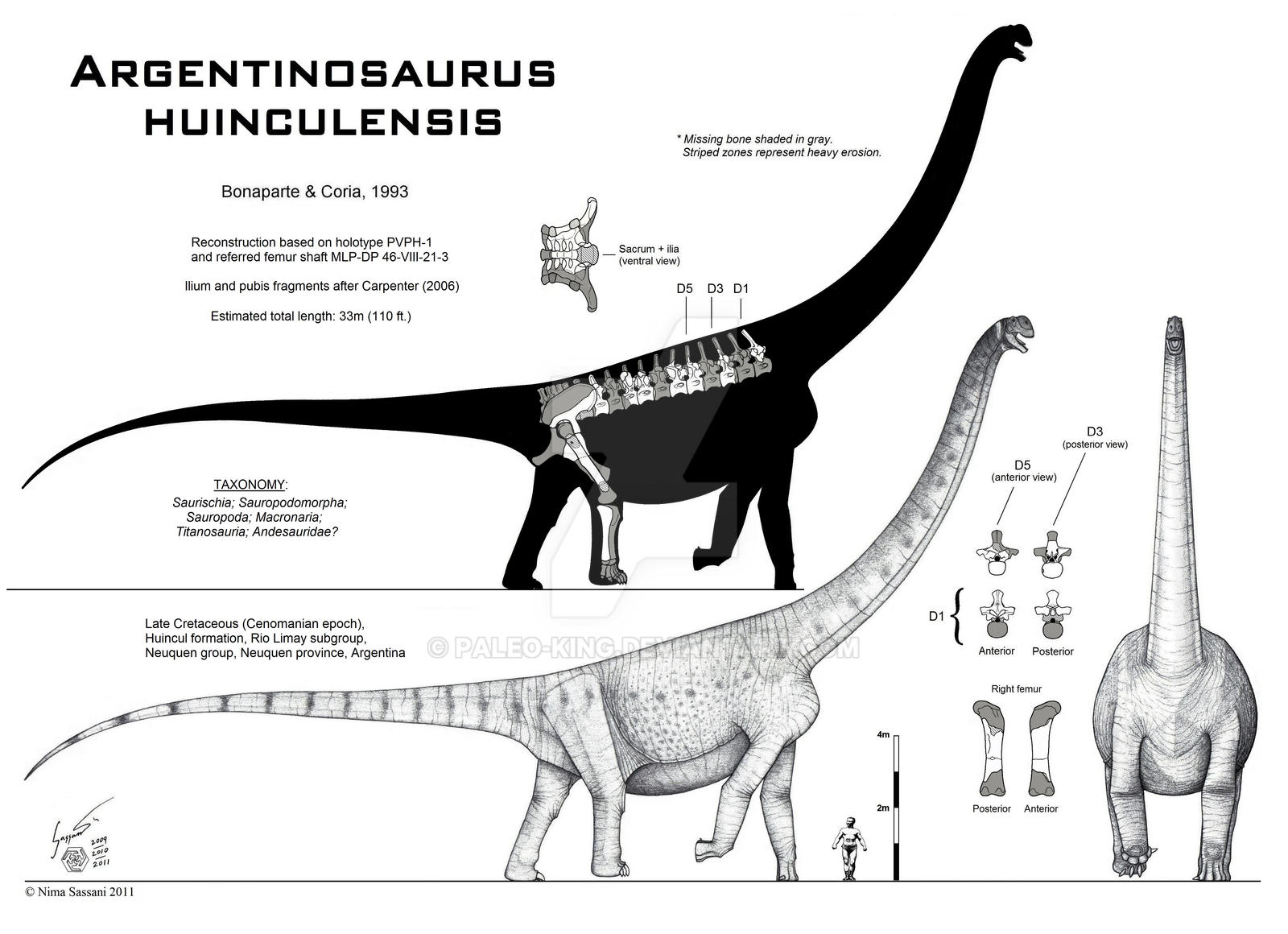 Argentinosaurus huinculensis