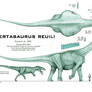 Puertasaurus reuili - REVISED