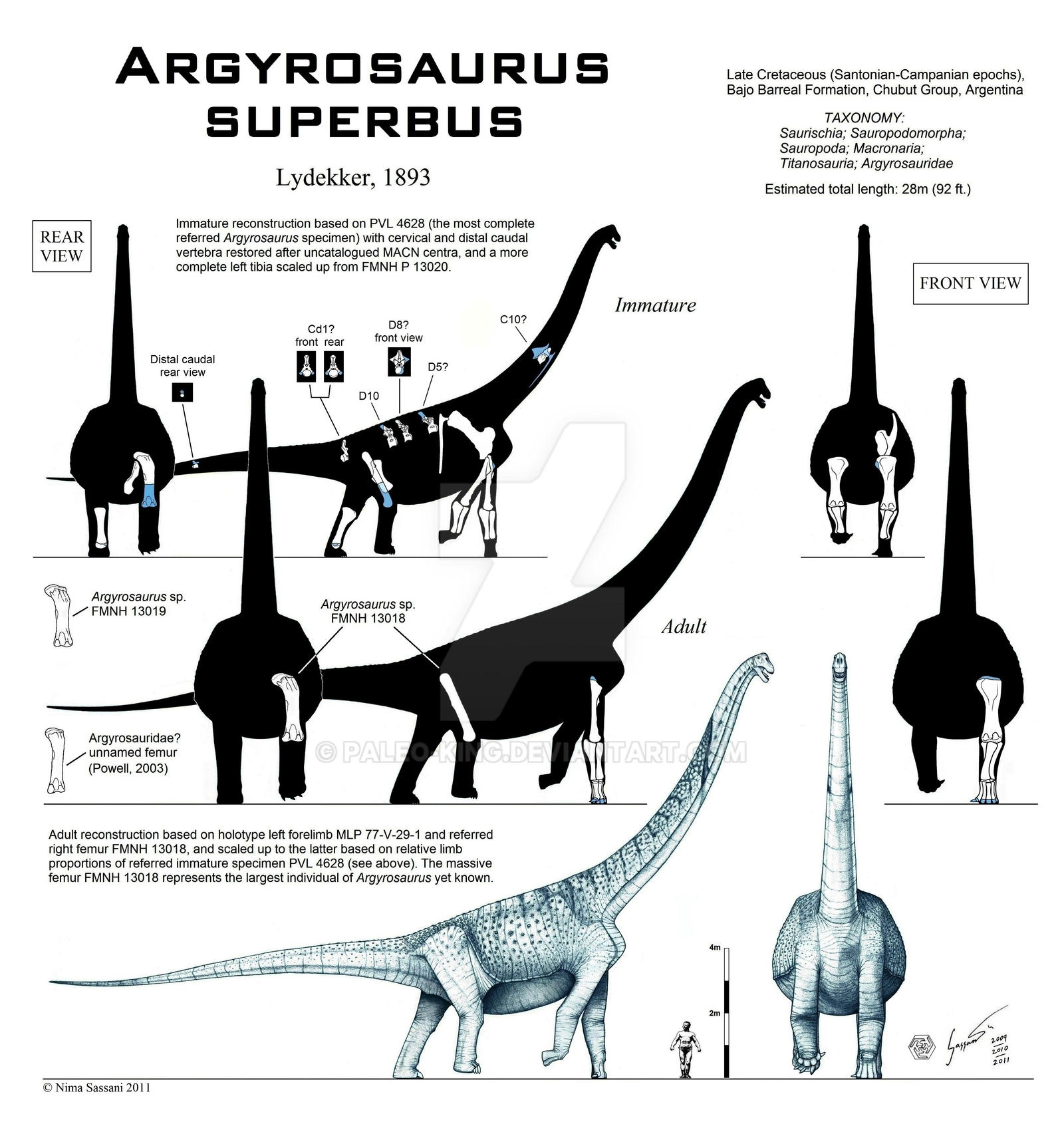 Argyrosaurus superbus