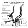 Lusotitan atalaiensis hi-fi skeletal