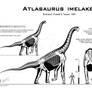 Atlasaurus imelakei skeletal