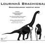 Unnamed Lourinha Brachiosaur