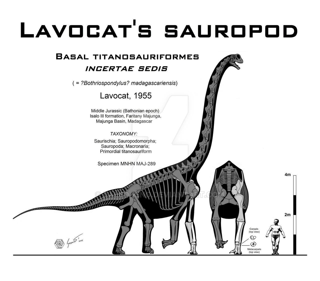 Lavocat's Sauropod