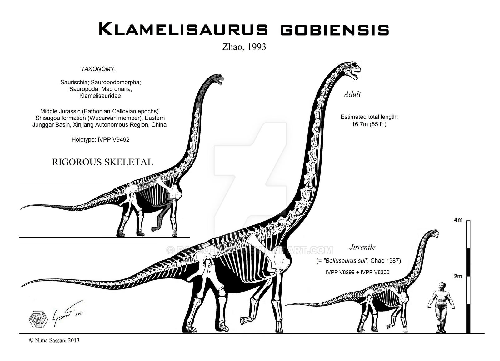 Klamelisaurus gobiensis skeletal