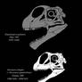 Klamelisaurid skull comparison