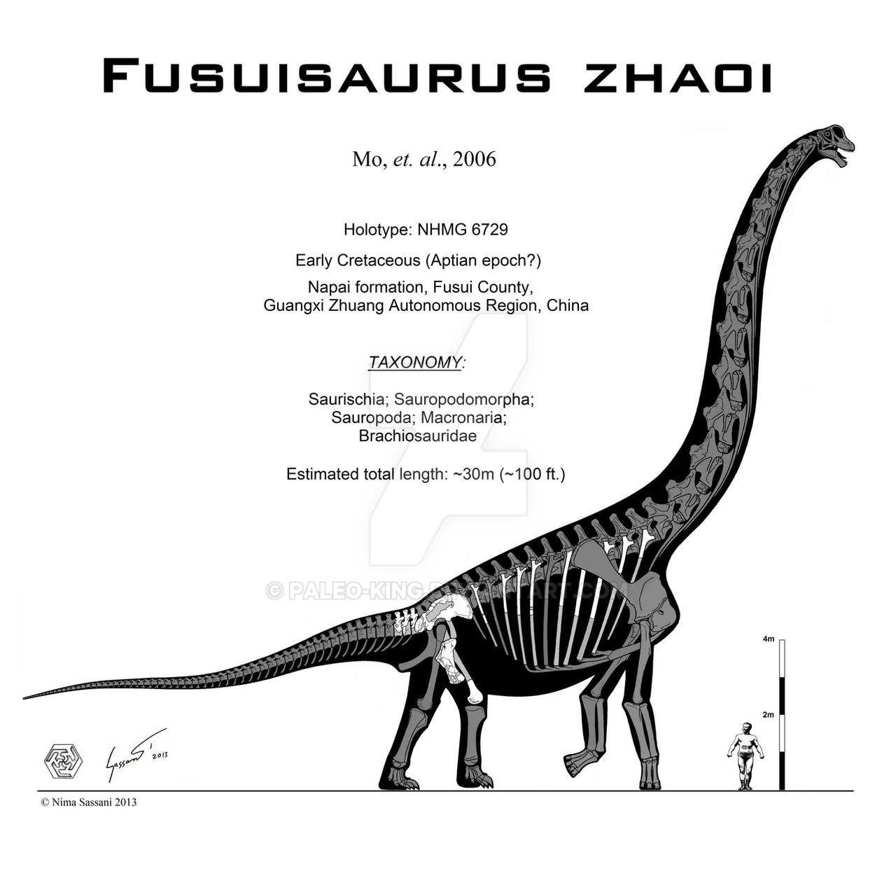 Fusuisaurus zhaoi skeletal
