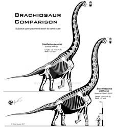 Brachiosaur comparison
