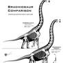 Brachiosaur comparison