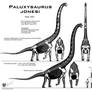 Paluxysaurus jonesi hi-fi skeletals