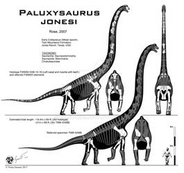 Paluxysaurus jonesi hi-fi skeletals
