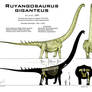 Ruyangosaurus giganteus - forgotten giant # ???