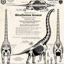 Giraffatitan brancai - Imperial German edition!