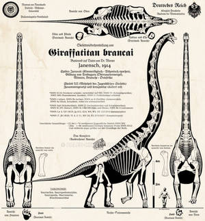 Giraffatitan brancai - Imperial German edition!