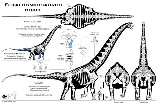 Futalognkosaurus dukei Mk. IX