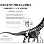 Argentinosaurus huinculensis Mk. II